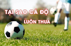 Lý do cá độ bóng đá luôn thua